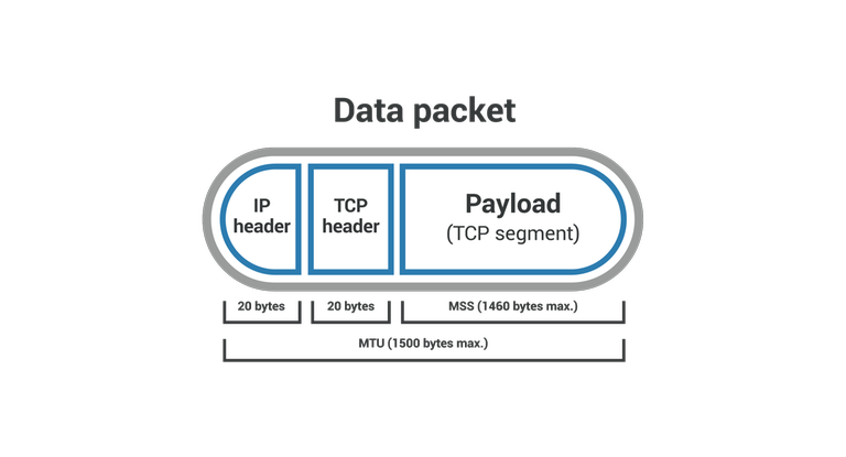 Data Packet